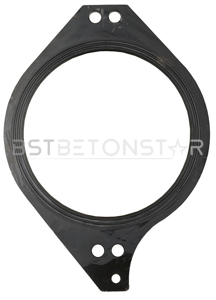 Sealing ring 